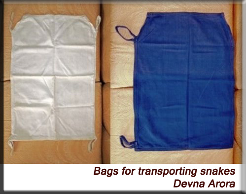Devna Arora - Snake bag